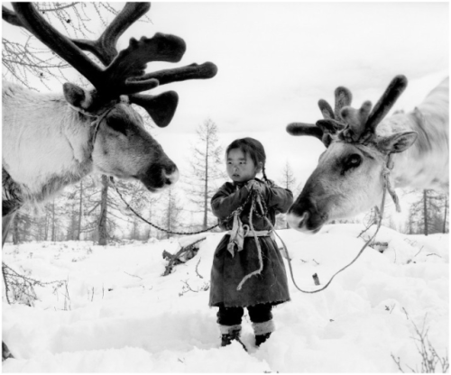 semioticapocalypse: Jeroen Toirkens, Holding two reindeers in Taiga, Dukha, Mongolia, 2007