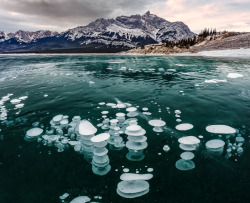 cerceos:    Yi Jiang - Ice Bubbles on Abraham