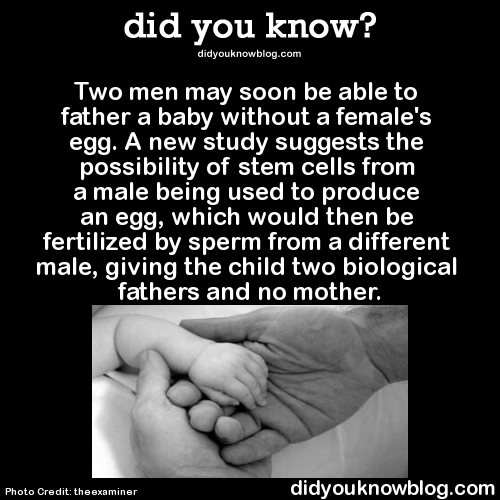 willowmoon92:  did-you-kno:  Two men may soon be able to father a baby without a