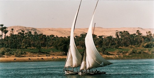 divaneee:  Egypt, 1989 by Vincenzo Tosini 