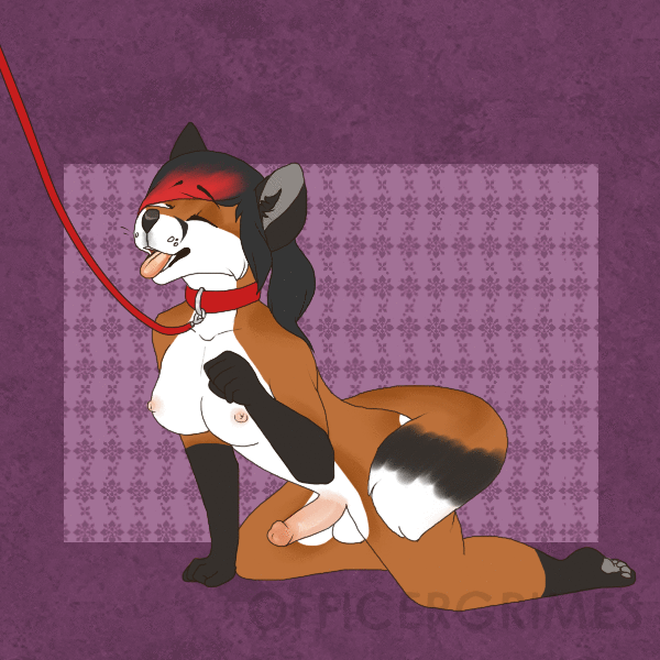 Furry Intersex