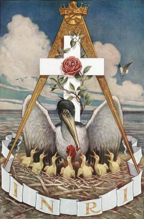 petschm66: peterschlehmil: Masonic Pelican: a symbol of the renewal of life through the spiritual fo
