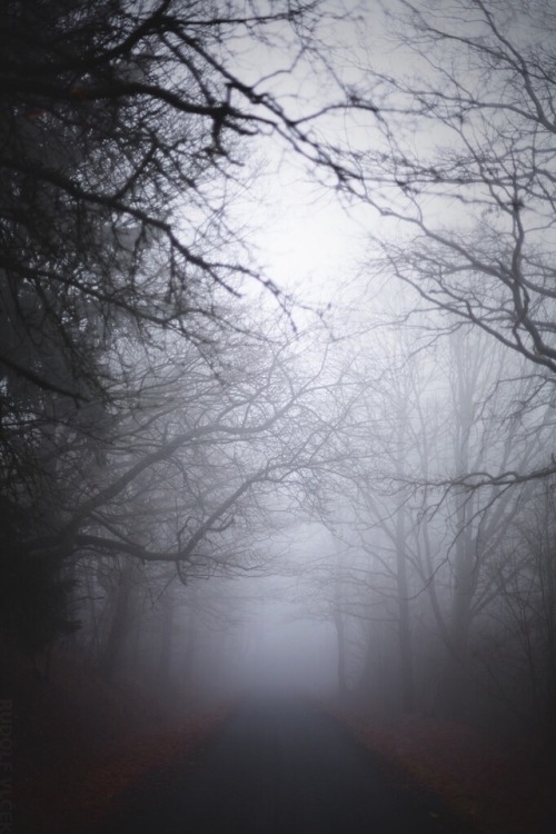rudolfvlcek:Foggy Road