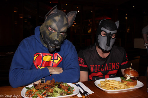 Road testing the meals for Pup Pride Down Under dinner :) 