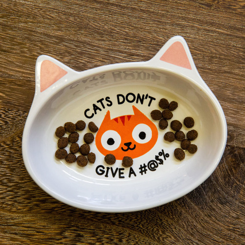 New Product Alert: CAT DISH from Big Mouth, Inc.! High quality ceramic, hand wash only. Your cat wil