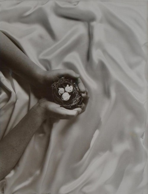 Josephine Kuperholz Roses in Nest