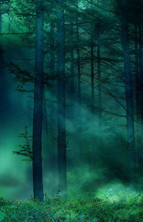 bella-che-madre-natura:Green, Blue Mist  by:Reiner Gogolin