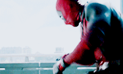 the-regeneratin-degenerate:deadpoolsquinn:the-regeneratin-degenerate:matthewmurdockks:All the Dinosa