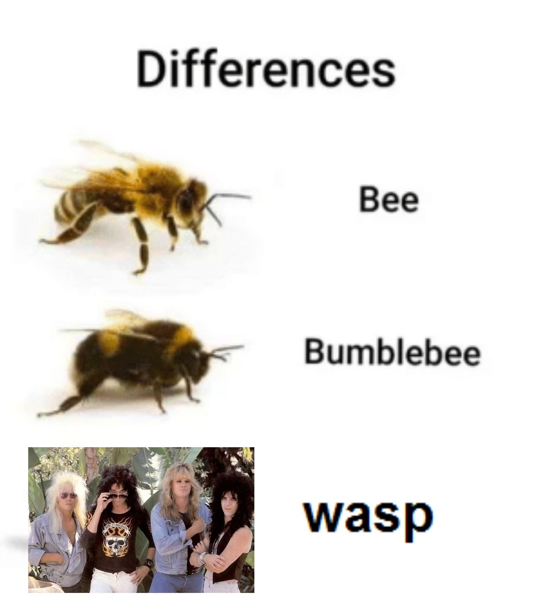 W A S P Band Explore Tumblr Posts And Blogs Tumgir W A S P Band Explore Tumblr Posts And Blogs Tumgir