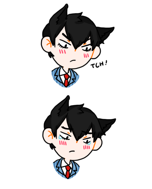 ask-arakita-wolf-san:  “I think I really do love my team, sometimes.” pt2