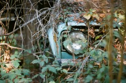 lensblr-network:  an old car i found while