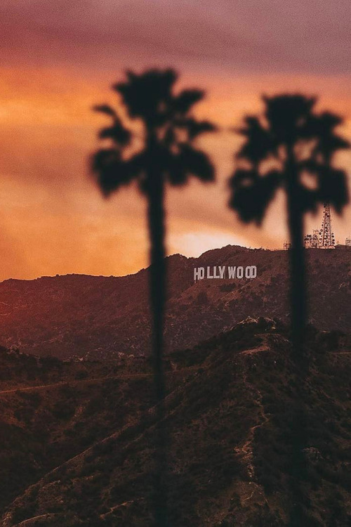 motivationsforlife - Hollywood by Roberto Nickson