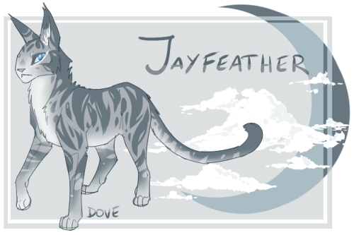 in my new world jayfeather abandons starclan forreals but he gets better :)blue silver mackerel tabb