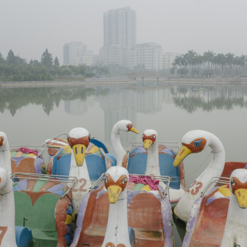 nickjonastillhasdiabetes - Hanoi | Adam Birkan