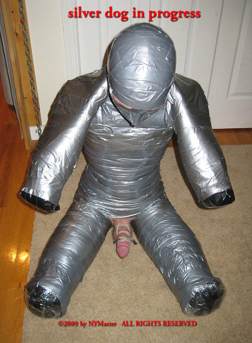 https://lovetapebondage.tumblr.com/post/82940541280