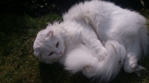 russiacore: russiacore: A happy boy btw he was happy because i had just dug up a veggie garden and n