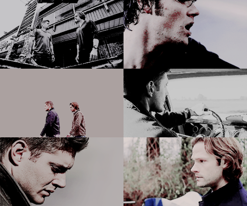 jesensackles: screencap meme | @brilliantrosetyler asked for profiles + Winchesters