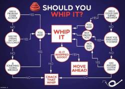 subgirlygirl:  You should. You should definitely whip it.  That song needs way more reasons for when to whip it.