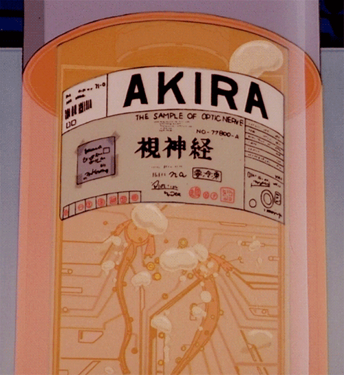 aesthetic-satanist:A K I R A