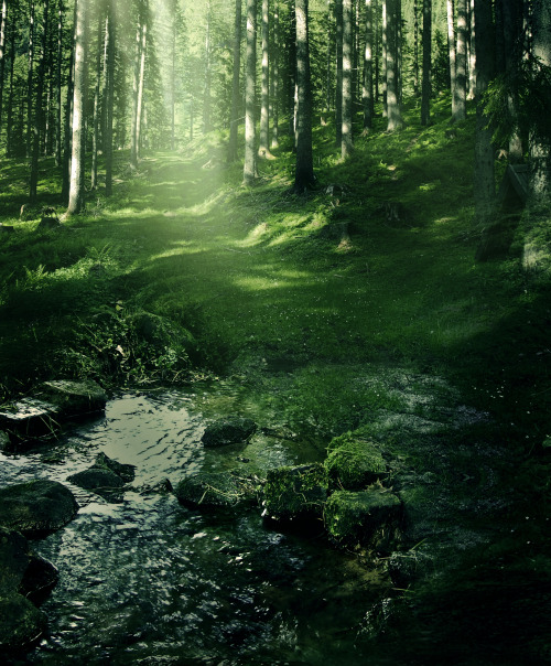 peaceful-moon: noxfae: Stock-Premade background3 by Gwendolyn1-stock ☮ nature aฏ๎๎๎๎๎๎๎๎๎๎๎๎๎๎๎๎๎๎๎๎