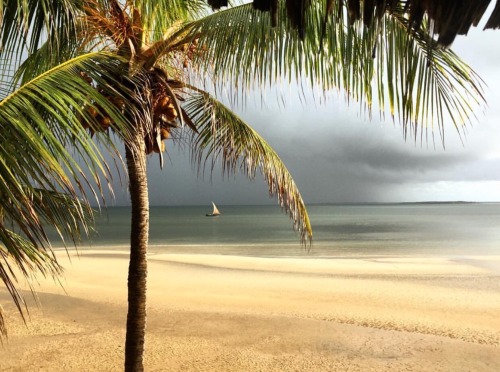 sandylamu: Manda Bay, Kenya, Photo Fuzz Dyer
