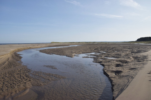 Tentsmuir Beach, FifeI love walking barefoot on soft sand and this beach has definitely filled my cu