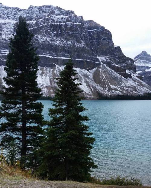 There is beauty in calmness. ..#mountains #hike #trees #rocks #lake #water #nature #banff #nationalp