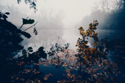 meolog: a misty morning in Berlin