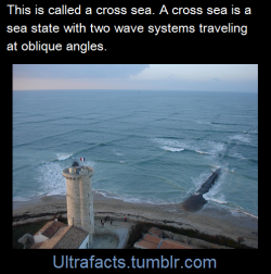 chaztheweasel:  ultrafacts:     Source+more infoFollow Ultrafacts for more facts     this looks like a video game where the water is laid out in tiles and has bad physics 