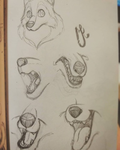 A sketch I did a while ago to study antropomorphic expressions, just for fun. . . . . #furry #furrya