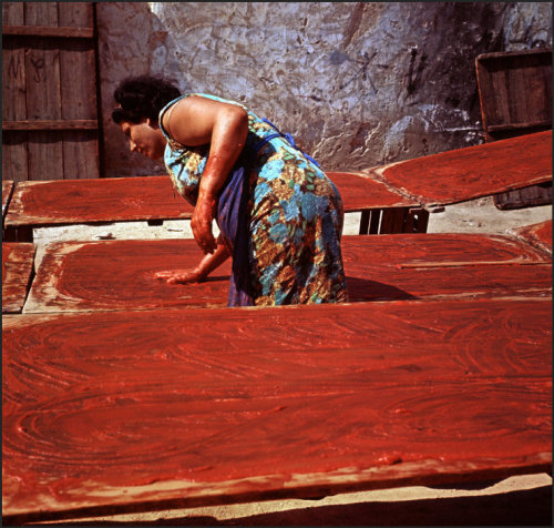 unrar: Sicily, Bagheria, Italy: preaping the tomato concentrate 1963, Ferdinando Scianna.