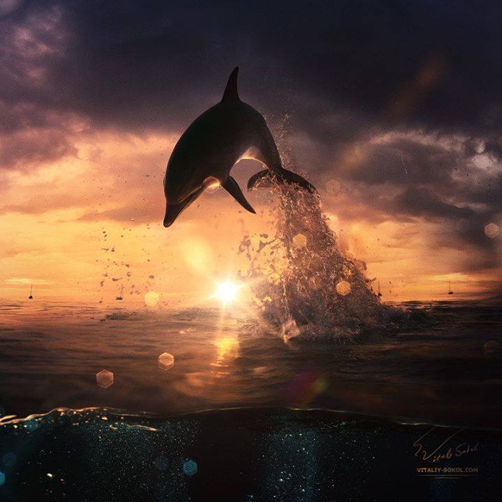 Collect Magic Moments not Things