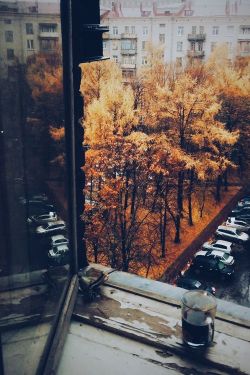sensational-autumn:fall sunday morning ♡