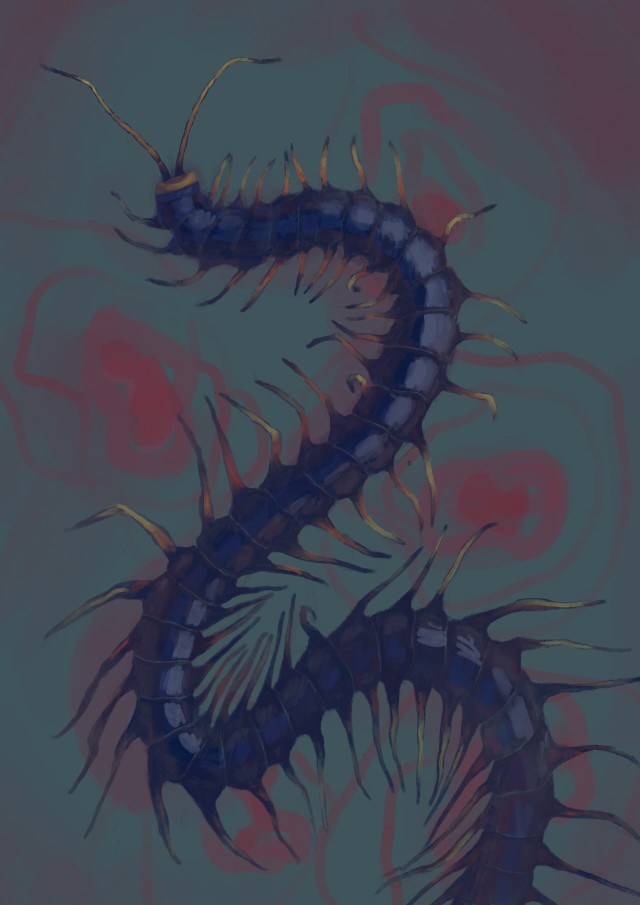 Centipede On Tumblr Centipede On Tumblr