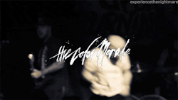 experiencethenightmare: The Color Morale  