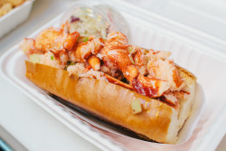 behindthefoodcarts:  Sam’s Famous Lobster Roll. It is Maine lobster lightly tossed in warmed butter on a toasted bun.