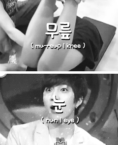 inmyownfiction:  Learning body parts in korean with: Soohyun. 