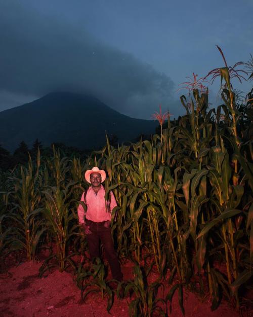 A #farmer in his #corn #field #sanpedro #solola #guatemala... and remember that if its possible for