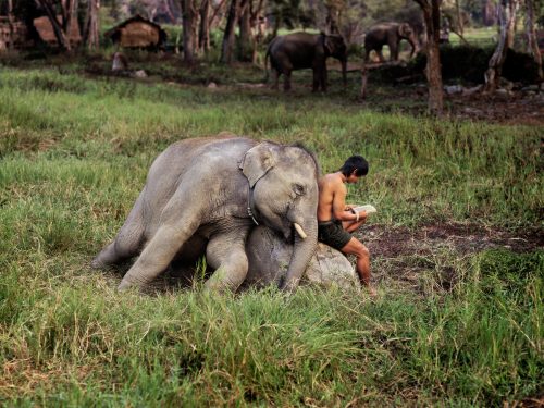 Reading in Thailand by Steve McCurry Intimate moments that capture the richness of a country. Visit 