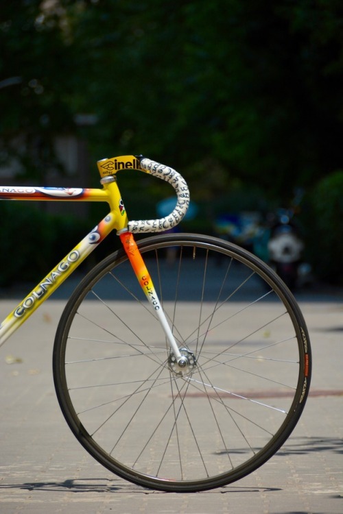 trackbikenerd:  Yup, this Colnago pista is quite the looker. I’ve had a thing for Cinelli Alter stem