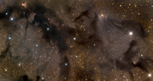 Dark Clouds in AquilaPart of a dark expanse that splits the crowded plane of our Milky Way galaxy, t