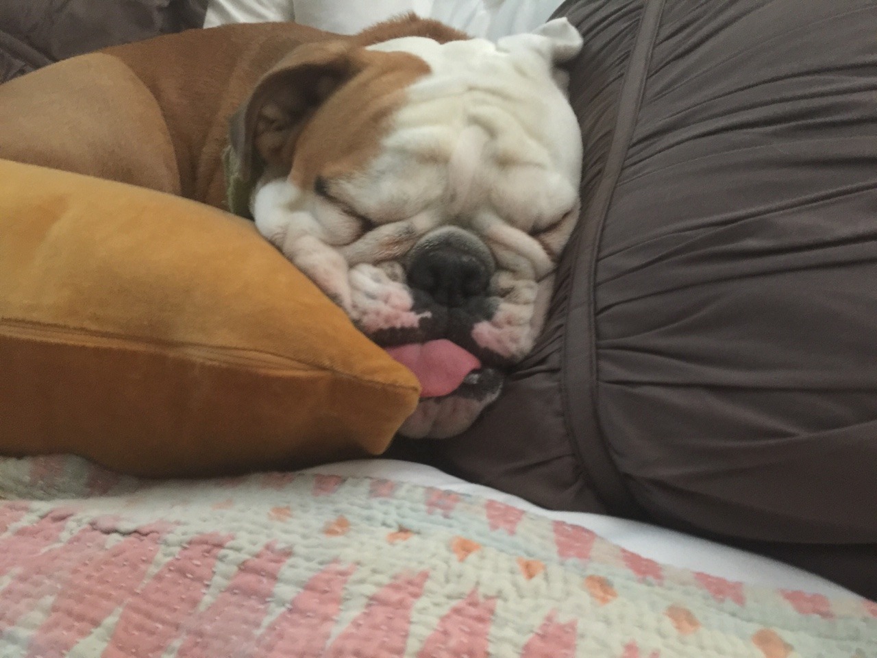 nap time ZzZzz