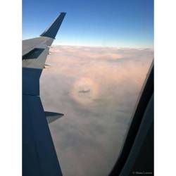 An Airplane Glory #nasa #apod #theglory #heiligenschein #specterofthebrocken #shadow #sun #clouds #reflection #refraction #diffraction #space #science #astronomy