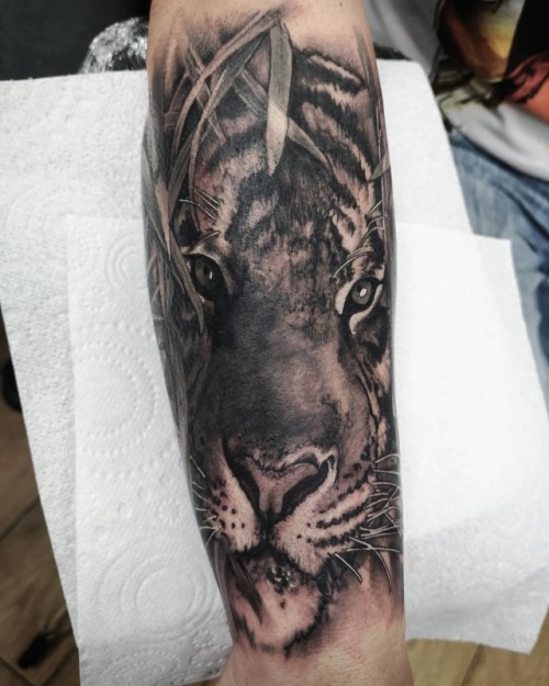 Tiger done today. Swipe for the video to see the whole piece. No fancy lighting just black grey and 