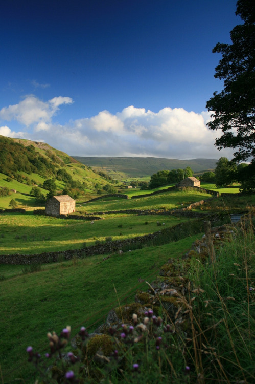 old-arcadia:Angram Valley, Swaledale, North Yorkshire, England (by Lakeland-Photographs)