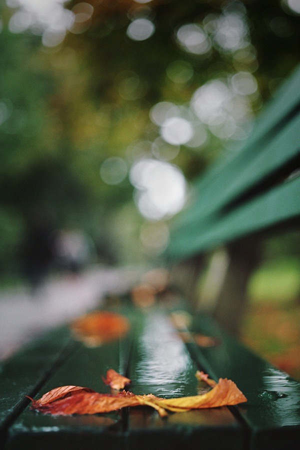 alecsgrg:  The remains of the day | ( by Danielle Hughson ) 