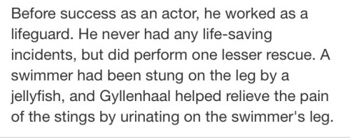 fousheezy:tomellis:jakegyllinhaal:Imagine Jake Gyllenhaal peeing on yougod i wish that were me.jpgli