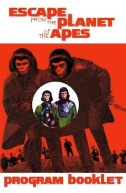 Archives Of The Apes