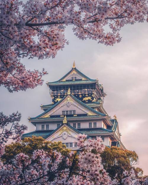 japanpix: Osaka castle, Japan.