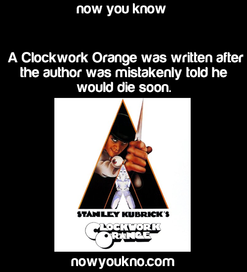 nowyoukno:  Source for more facts follow NowYouKno   
